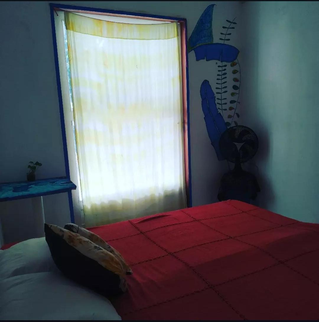 Casinha Blue Pipa Vandrerhjem Praia de Pipa Eksteriør bilde
